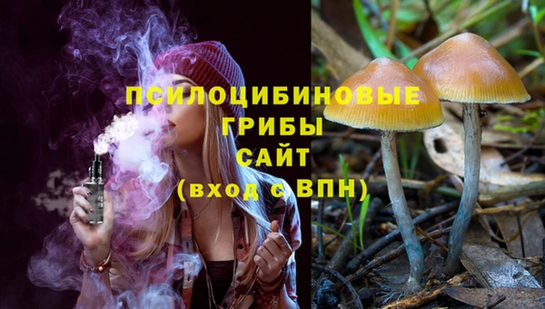 мет Абаза