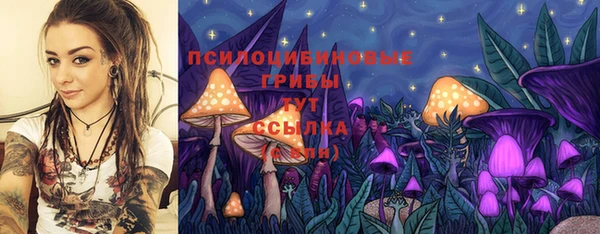 сатива Пролетарск