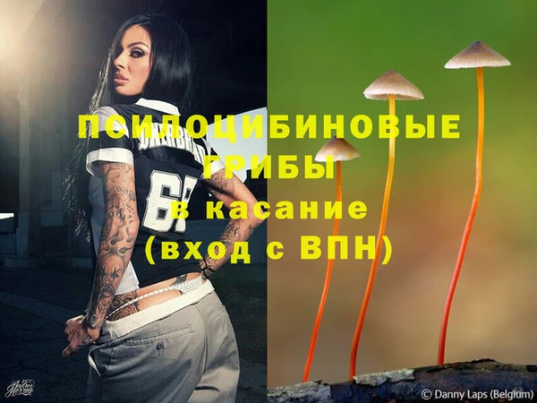 соль ск Абинск
