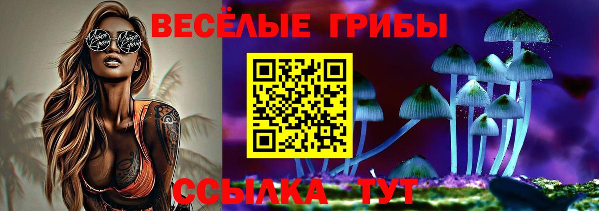 Галлюциногенные грибы мицелий Скопин