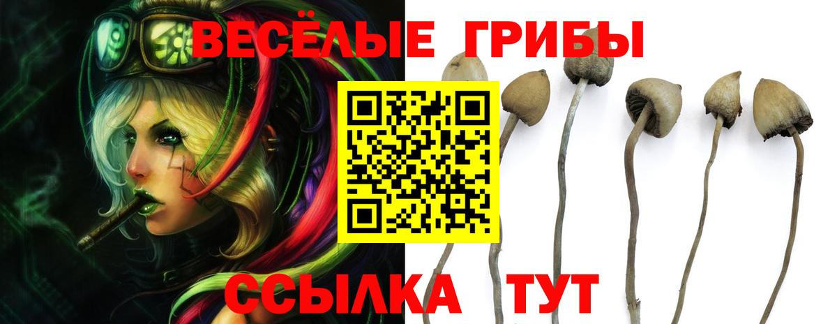 Скопин  Галлюциногенные грибы Magic Shrooms  Вход с VPN 